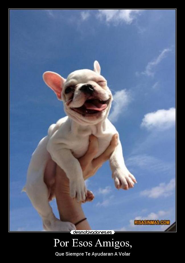 carteles amigos felicidad desmotivaciones