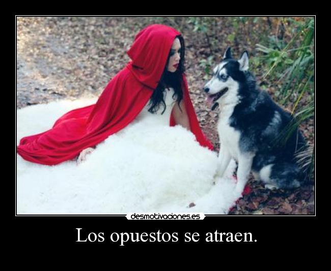 Los opuestos se atraen. - 