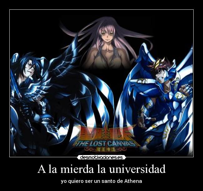 A la mierda la universidad - yo quiero ser un santo de Athena