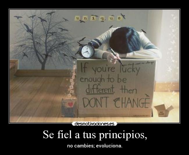 carteles lacuna youngwildfree cambiado porta shinoflow cansino desmotivaciones