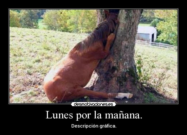 Lunes por la mañana. -