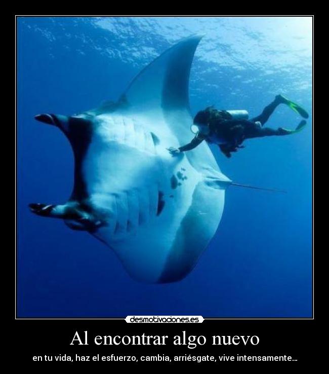 Al encontrar algo nuevo - en tu vida, haz el esfuerzo, cambia, arriésgate, vive intensamente…