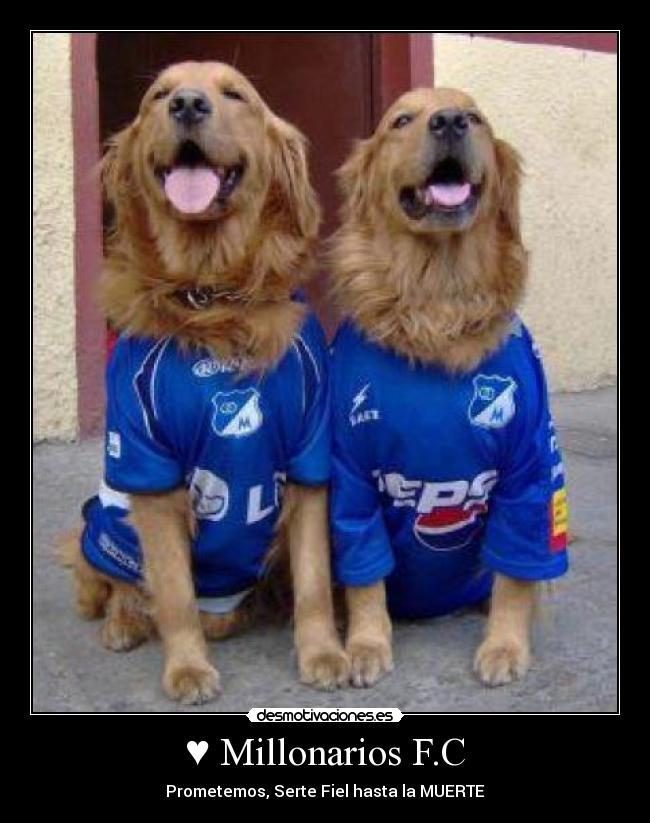 ♥ Millonarios F.C -
