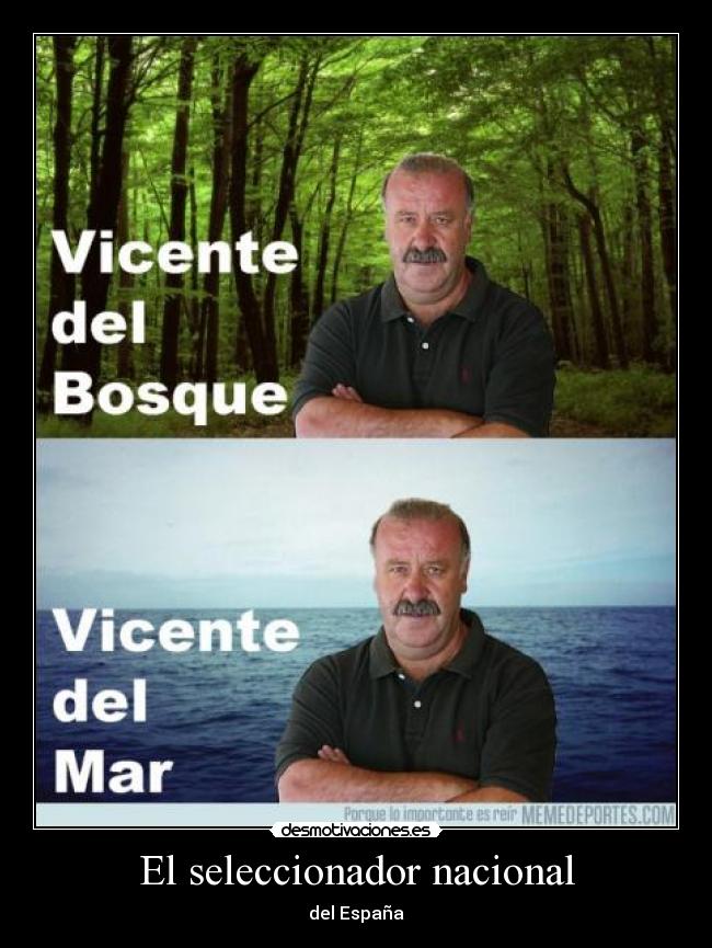 El seleccionador nacional - del España