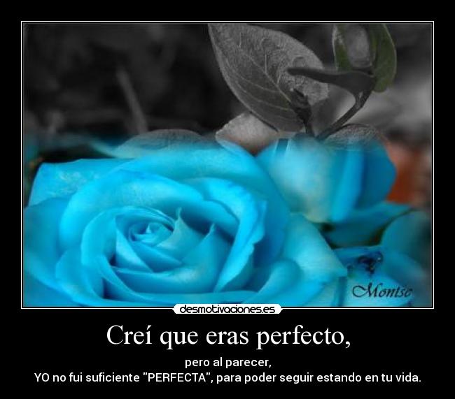 Creí que eras perfecto, - pero al parecer,
YO no fui suficiente PERFECTA, para poder seguir estando en tu vida.