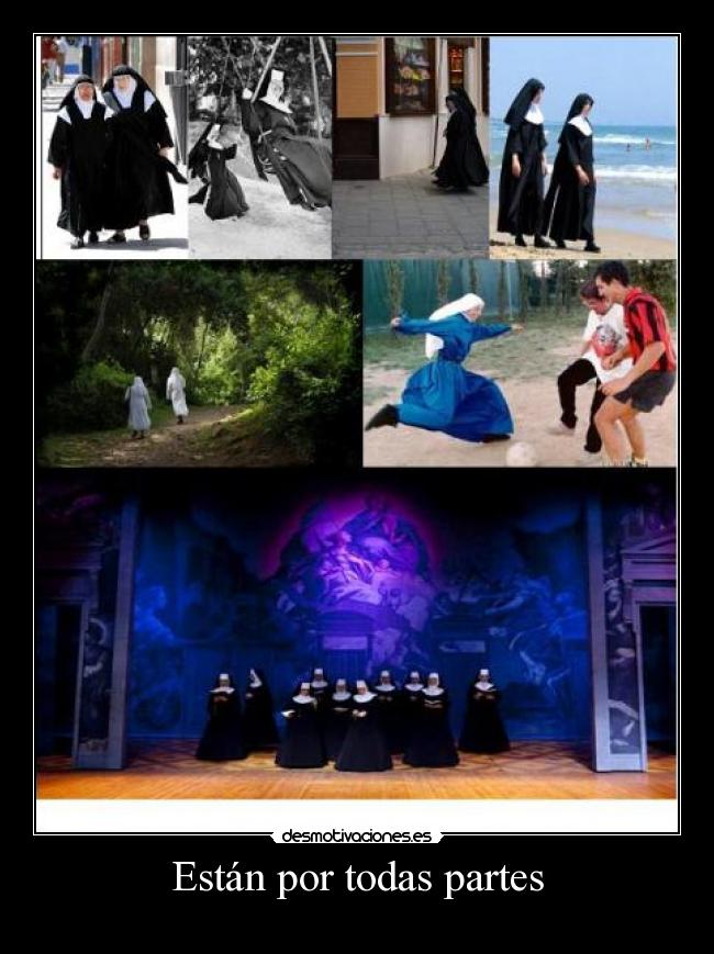 Están por todas partes - 