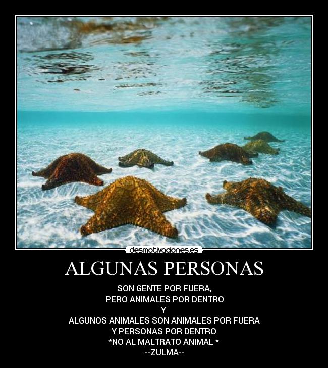 ALGUNAS PERSONAS - SON GENTE POR FUERA,
PERO ANIMALES POR DENTRO
Y
ALGUNOS ANIMALES SON ANIMALES POR FUERA
Y PERSONAS POR DENTRO
*NO AL MALTRATO ANIMAL *
--ZULMA--