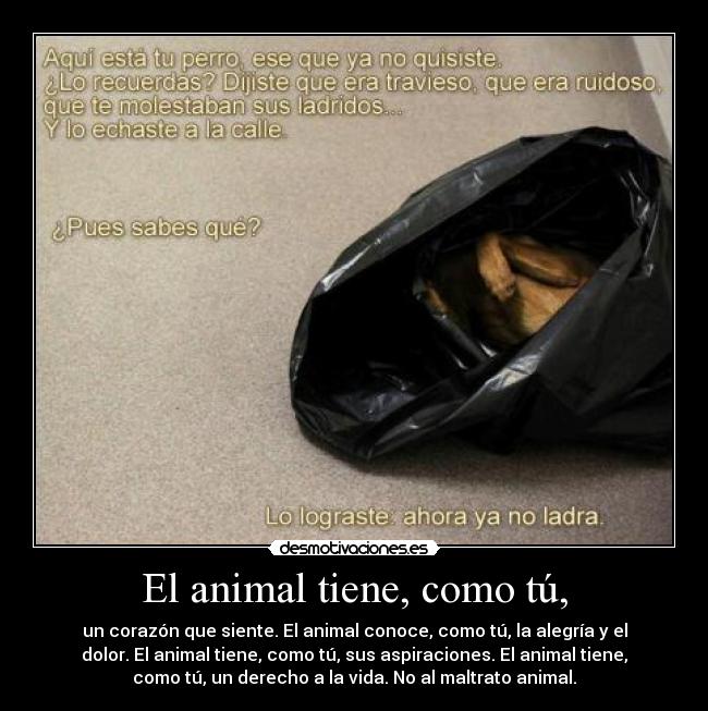 El animal tiene, como tú, -