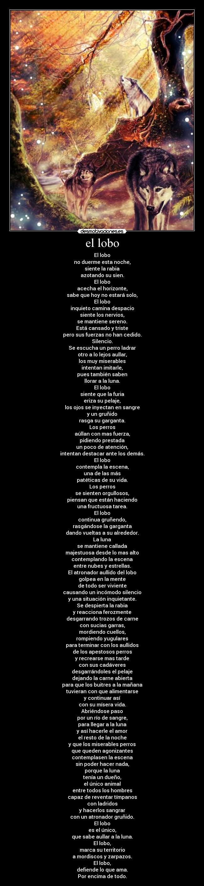 el lobo - El lobo
no duerme esta noche,
siente la rabia
azotando su sien.
El lobo
acecha el horizonte,
sabe que hoy no estará solo,
El lobo
inquieto camina despacio
siente los nervios,
se mantiene sereno.
Está cansado y triste
pero sus fuerzas no han cedido.
Silencio.
Se escucha un perro ladrar
otro a lo lejos aullar,
los muy miserables
intentan imitarle,
pues también saben
llorar a la luna.
El lobo
siente que la furia
eriza su pelaje,
los ojos se inyectan en sangre
y un gruñido
rasga su garganta.
Los perros
aúllan con mas fuerza,
pidiendo prestada
un poco de atención,
intentan destacar ante los demás.
El lobo
contempla la escena,
una de las más
patéticas de su vida.
Los perros
se sienten orgullosos,
piensan que están haciendo
una fructuosa tarea.
El lobo
continua gruñendo,
rasgándose la garganta
dando vueltas a su alrededor.
La luna
se mantiene callada
majestuosa desde lo mas alto
contemplando la escena
entre nubes y estrellas.
El atronador aullido del lobo
golpea en la mente
de todo ser viviente
causando un incómodo silencio
y una situación inquietante.
Se despierta la rabia
y reacciona ferozmente
desgarrando trozos de carne
con sucias garras,
mordiendo cuellos,
rompiendo yugulares
para terminar con los aullidos
de los apestosos perros
y recrearse mas tarde
con sus cadáveres
desgarrándoles el pelaje
dejando la carne abierta
para que los buitres a la mañana
tuvieran con que alimentarse
y continuar así
con su mísera vida.
Abriéndose paso
por un río de sangre,
para llegar a la luna
y así hacerle el amor
el resto de la noche
y que los miserables perros
que queden agonizantes
contemplasen la escena
sin poder hacer nada,
porque la luna
tenía un dueño,
el único animal
entre todos los hombres
capaz de reventar tímpanos
con ladridos
y hacerlos sangrar
con un atronador gruñido.
El lobo
es el único,
que sabe aullar a la luna.
El lobo,
marca su territorio
a mordiscos y zarpazos.
El lobo,
defiende lo que ama.
Por encima de todo.