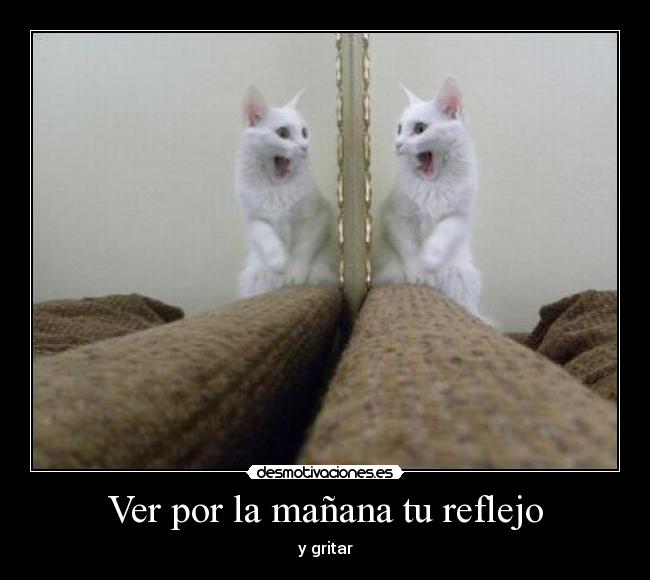 Ver por la mañana tu reflejo - y gritar