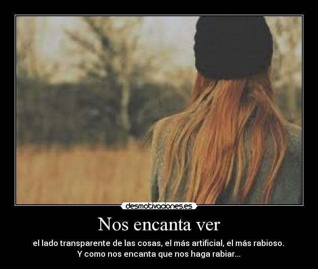 carteles lovepocholate desmotivaciones