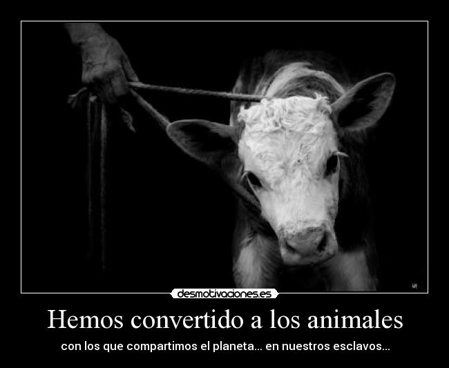 Hemos convertido a los animales -