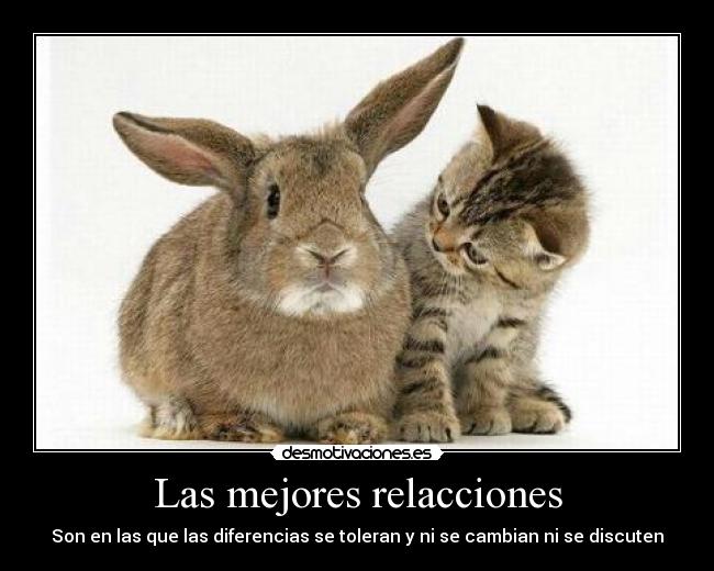 Las mejores relacciones - Son en las que las diferencias se toleran y ni se cambian ni se discuten