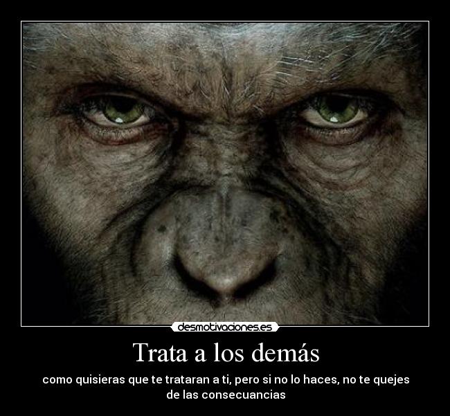 Trata a los demás -