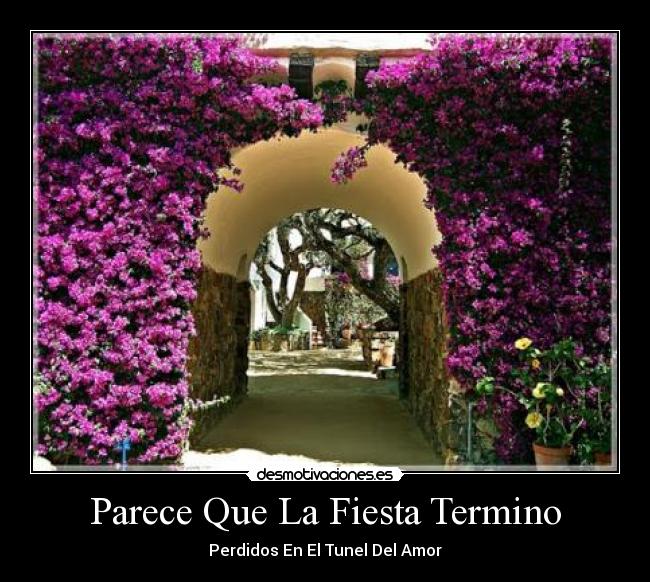 Parece Que La Fiesta Termino - 