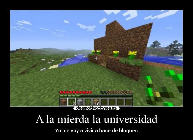 A la mierda la universidad - Yo me voy a vivir a base de bloques
