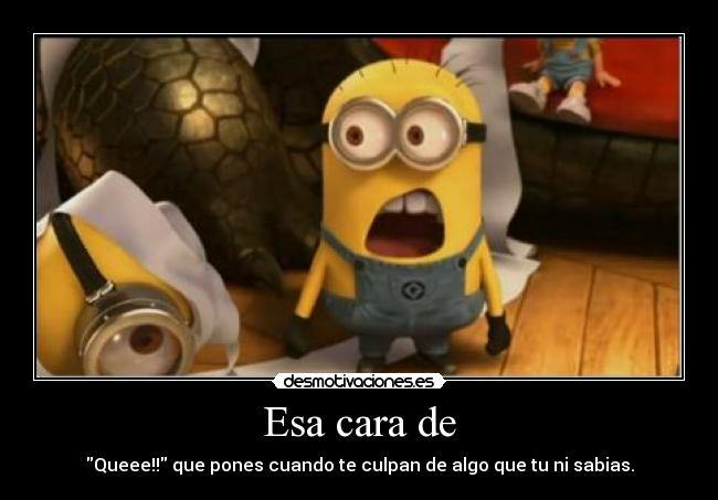 Esa cara de - Queee!! que pones cuando te culpan de algo que tu ni sabias.