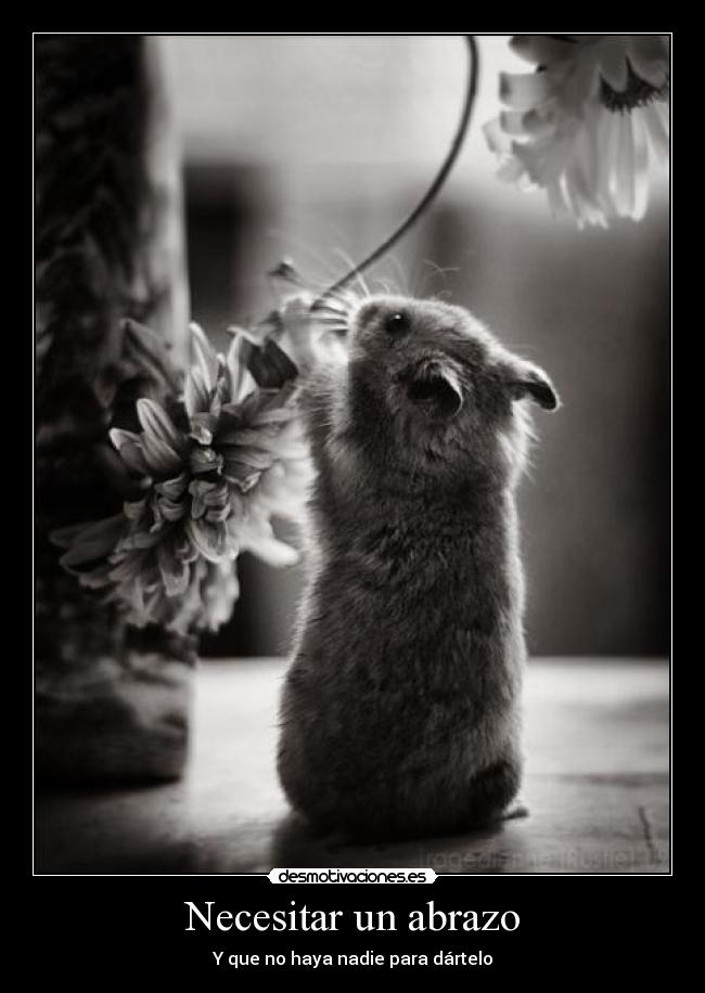 Necesitar un abrazo - Y que no haya nadie para dártelo