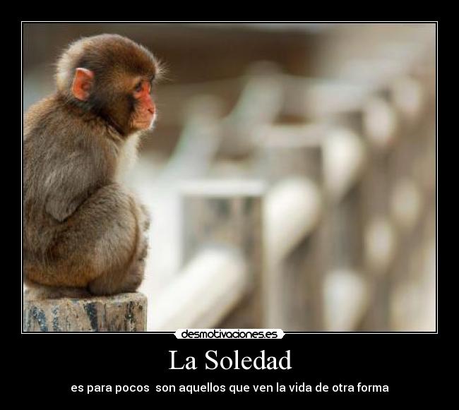 La Soledad - es para pocos son aquellos que ven la vida de otra forma