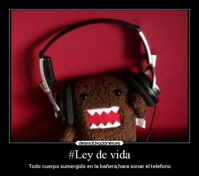 #Ley de vida -