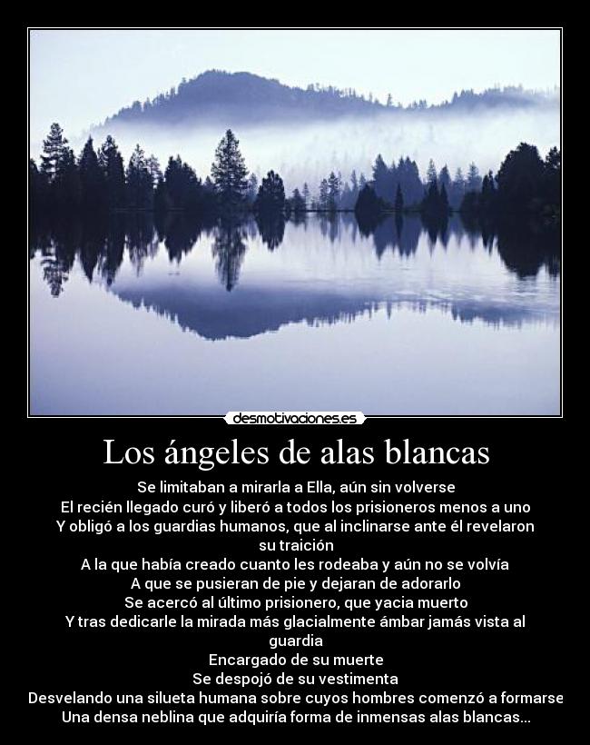 Los ángeles de alas blancas - 