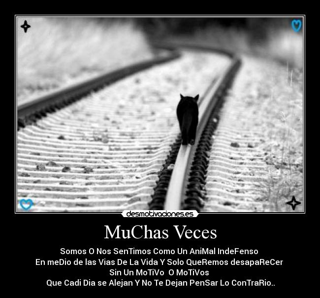 MuChas Veces - Somos O Nos SenTimos Como Un AniMal IndeFenso
En meDio de las Vias De La Vida Y Solo QueRemos desapaReCer
Sin Un MoTiVo O MoTiVos
Que Cadi Dia se Alejan Y No Te Dejan PenSar Lo ConTraRio..