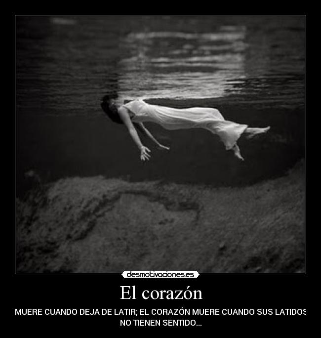 El corazón -