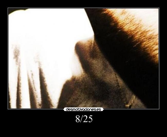 carteles asdfhasdhagsdfhytbgrbhryhbnhynbrhy desmotivaciones