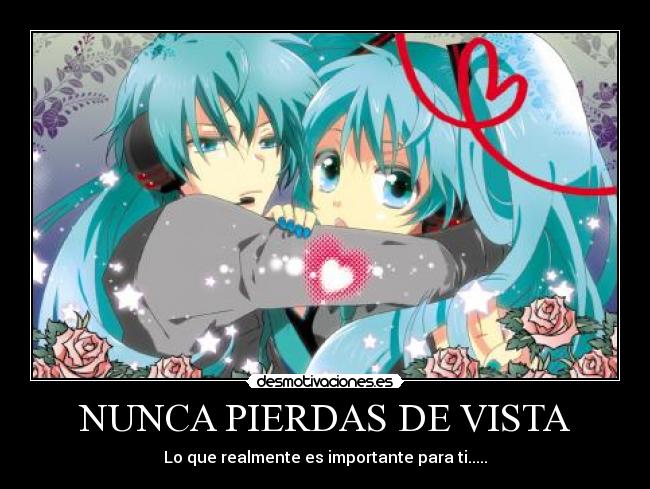 NUNCA PIERDAS DE VISTA -