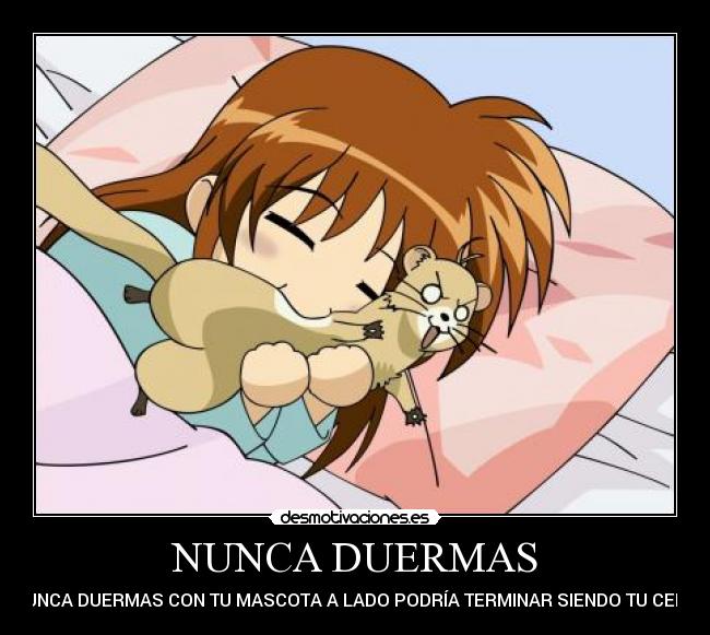 NUNCA DUERMAS - NUNCA DUERMAS CON TU MASCOTA A LADO PODRÍA TERMINAR SIENDO TU CENA