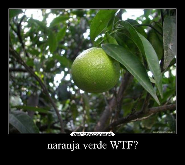 naranja verde WTF? - 