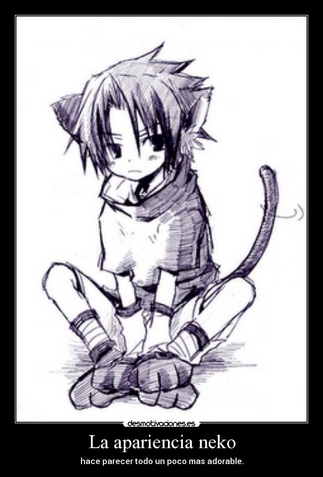 La apariencia neko -