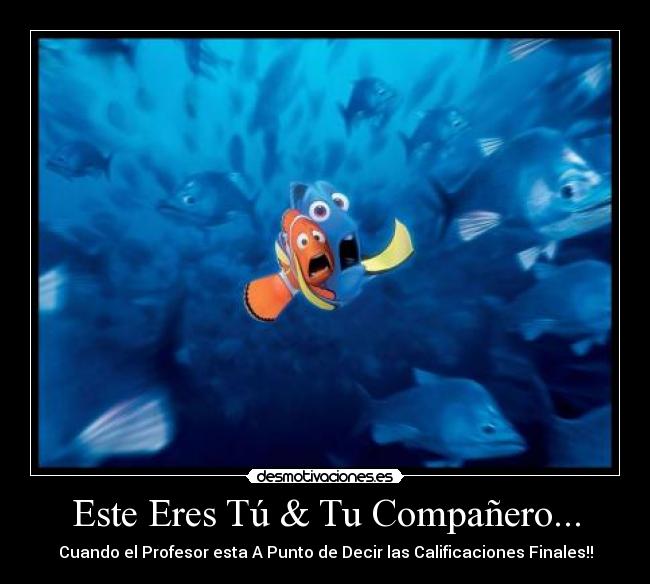 Este Eres Tú & Tu Compañero... - Cuando el Profesor esta A Punto de Decir las Calificaciones Finales!!