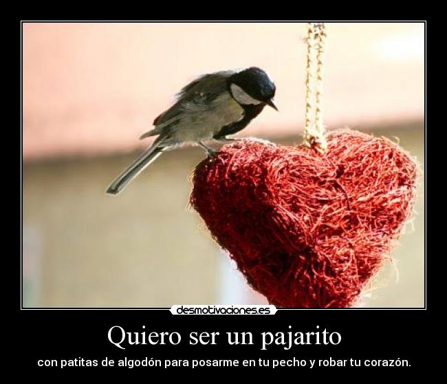 Quiero ser un pajarito -