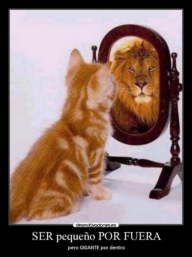SER pequeño POR FUERA - pero GIGANTE por dentro