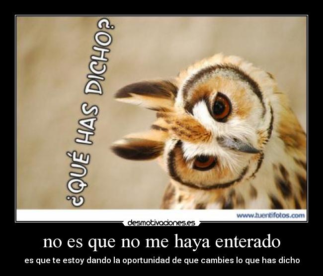 no es que no me haya enterado - es que te estoy dando la oportunidad de que cambies lo que has dicho