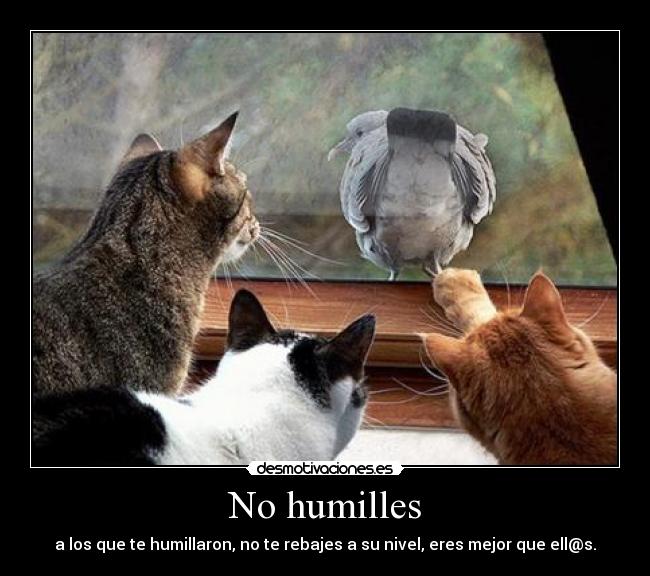 No humilles -