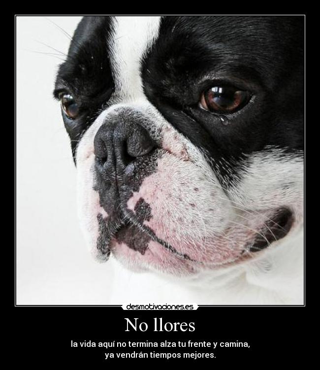 No llores -
