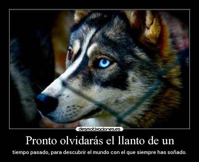 Pronto olvidarás el llanto de un - tiempo pasado, para descubrir el mundo con el que siempre has soñado.