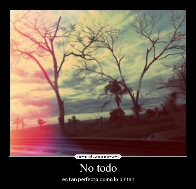 No todo - es tan perfecto como lo pintan
