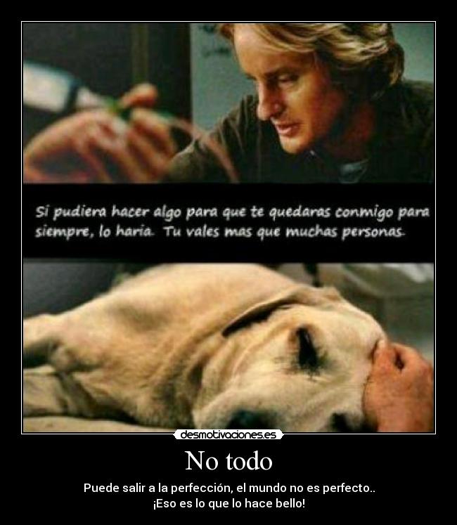 No todo - Puede salir a la perfección, el mundo no es perfecto..
¡Eso es lo que lo hace bello!