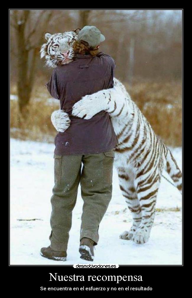 Nuestra recompensa - Se encuentra en el esfuerzo y no en el resultado