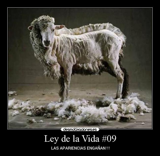 Ley de la Vida #09 -