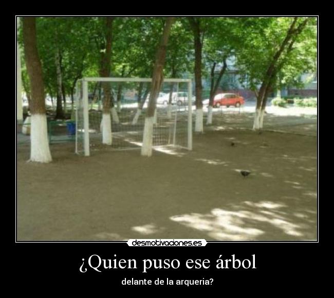 ¿Quien puso ese árbol -