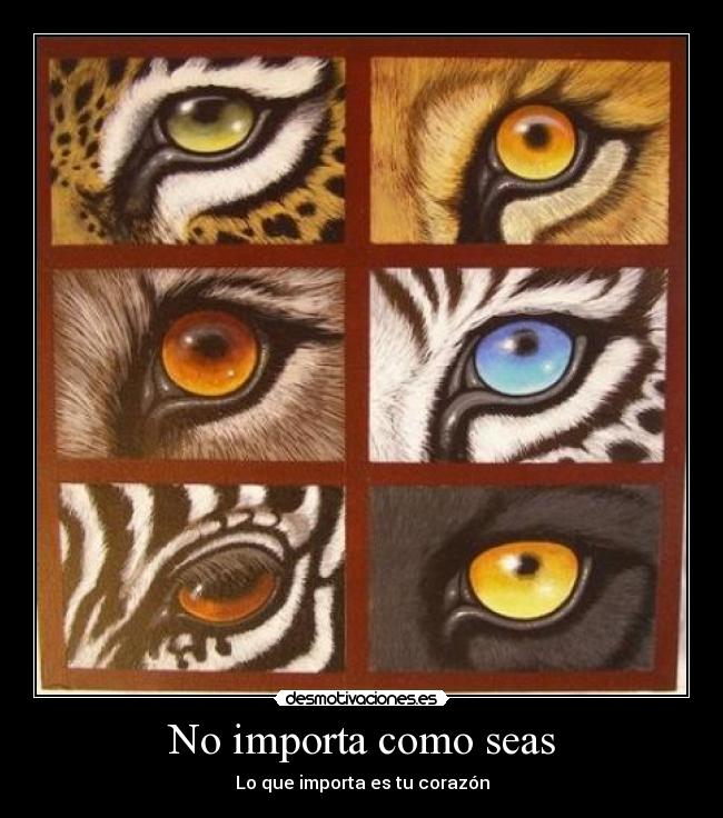 No importa como seas - Lo que importa es tu corazón