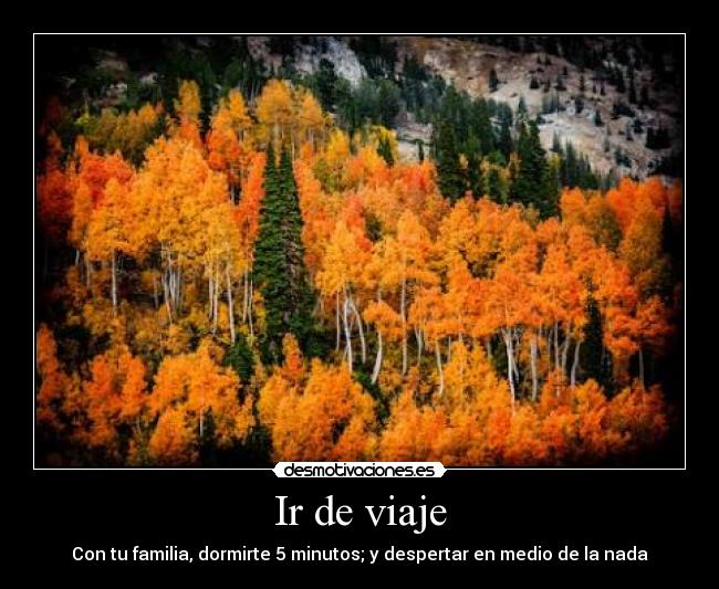 carteles orange forest desmotivaciones