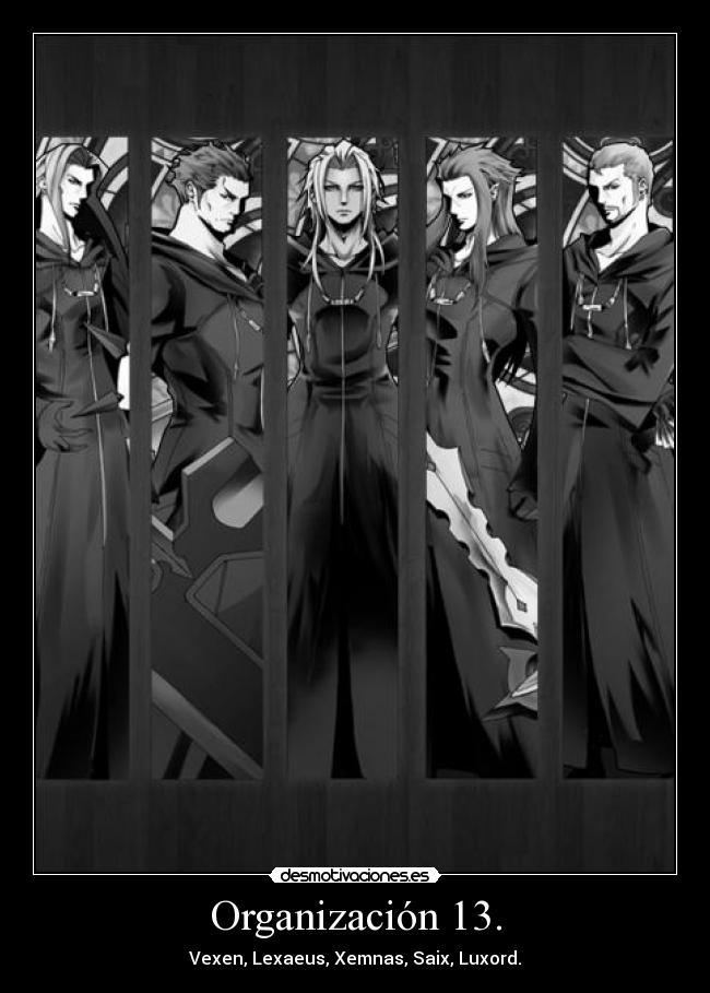 Organización 13. - 