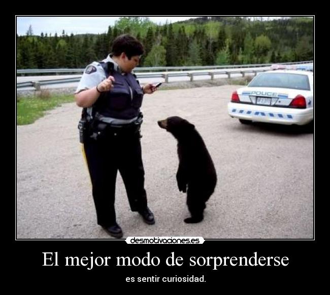 El mejor modo de sorprenderse - es sentir curiosidad.