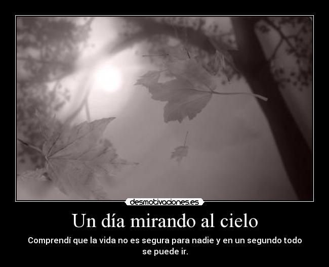 Un día mirando al cielo - 