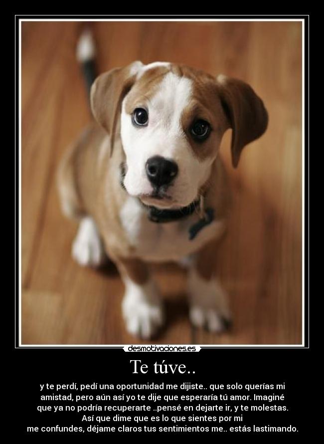 Te túve.. - y te perdí, pedí una oportunidad me dijiste.. que solo querías mi
amistad, pero aún así yo te dije que esperaría tú amor. Imaginé
que ya no podría recuperarte ..pensé en dejarte ir, y te molestas.
Así que dime que es lo que sientes por mi
me confundes, déjame claros tus sentimientos me.. estás lastimando.